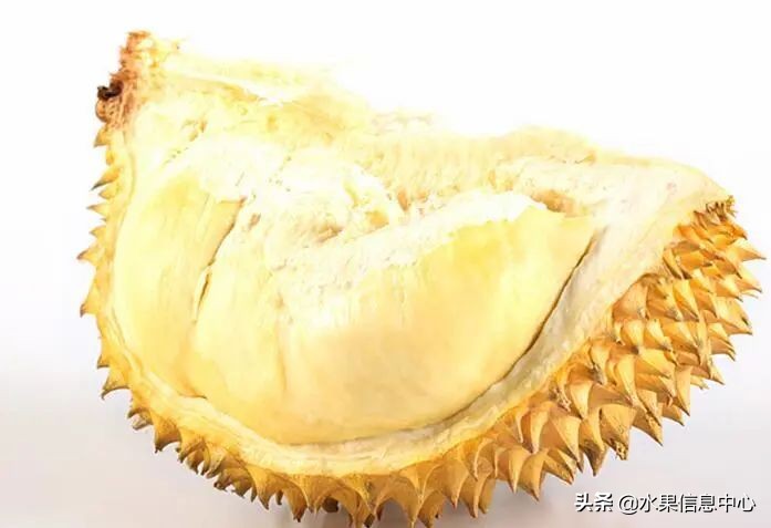 托曼尼猫山王榴莲价格,泰国托曼尼榴莲和猫山王区别