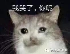 夜里歇斯底里的女孩,楼上的那个女人