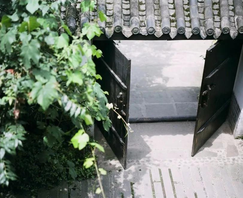 租下城郊200㎡小院，和陌生人一起生活5年：唱歌、染布、盖树屋