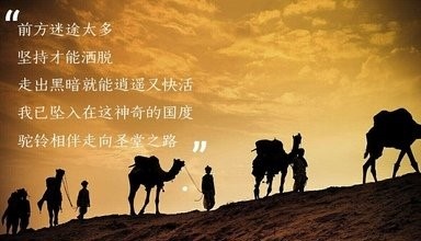 沙漠骆驼是抄袭还是解约,沙漠骆驼涉嫌抄袭