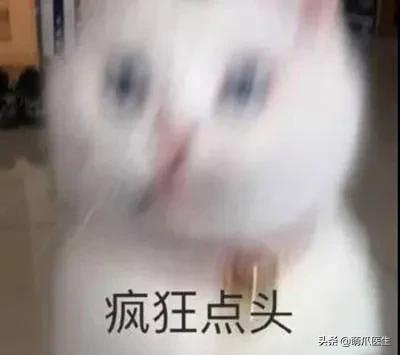 猫拉完屎还满屋疯跑？铲屎官：想当场自杀