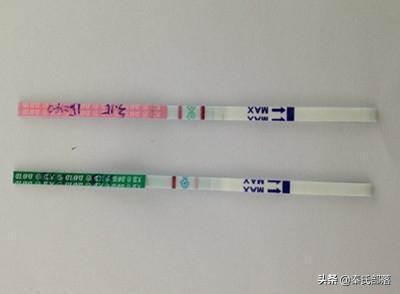 早孕怕炸胡？任意中五条童心妈妈恭喜你成功荣升准妈妈