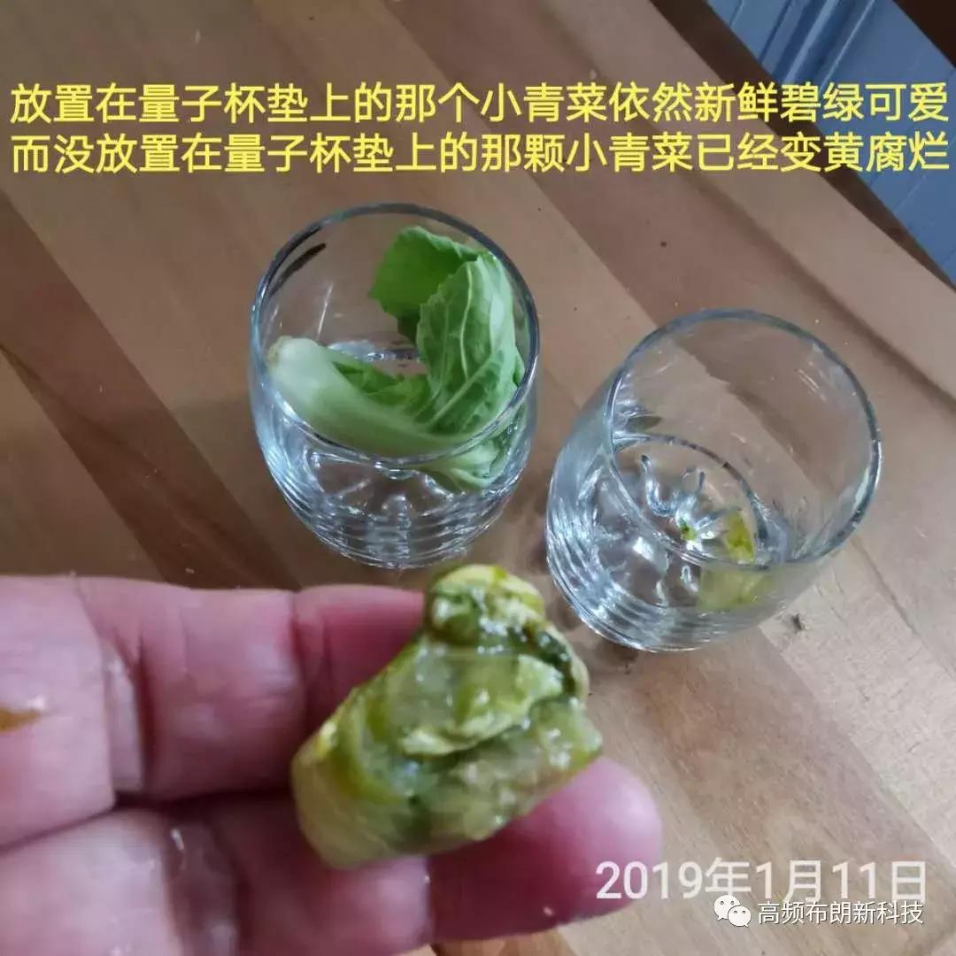 三域高频布朗能量腰带多少钱,三域高频布朗如何加盟