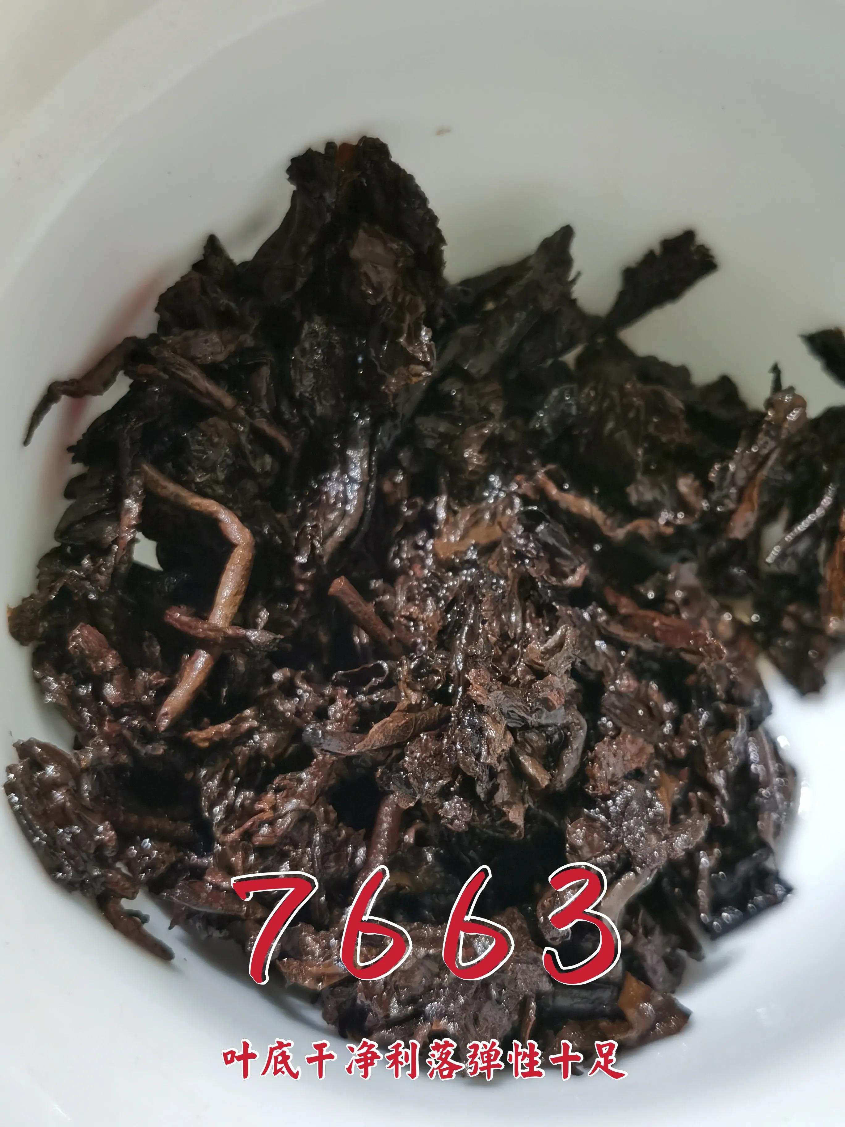 普洱7663是什么意思,7573普洱