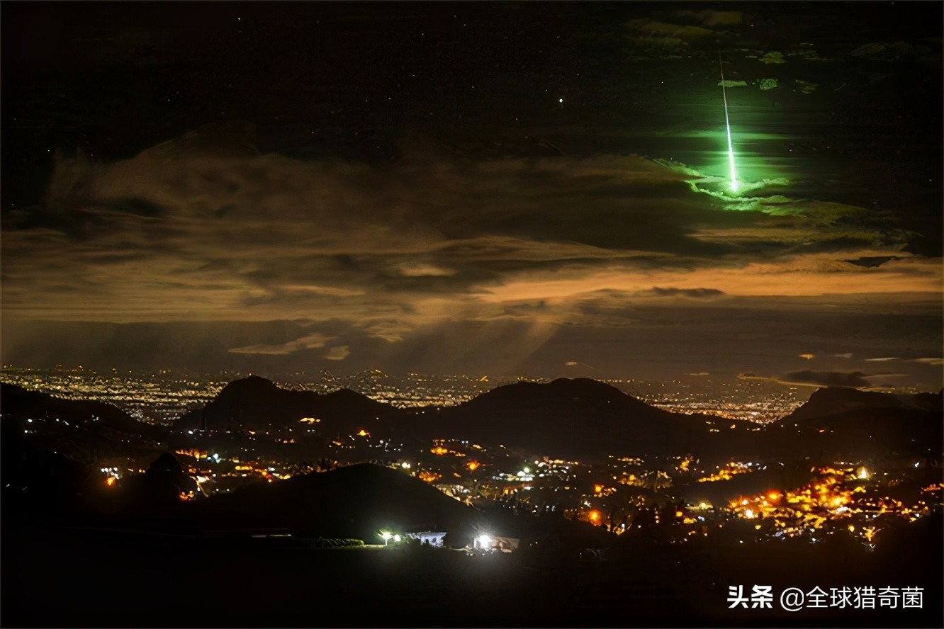 活久见的奇妙动物照片,活久见的神奇图片