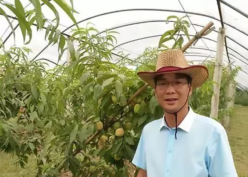 返乡创业养鹅的人,回家养鹅创业项目