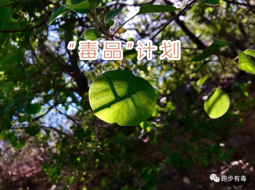 7款跑步必备装备,跑步装备买哪些好用