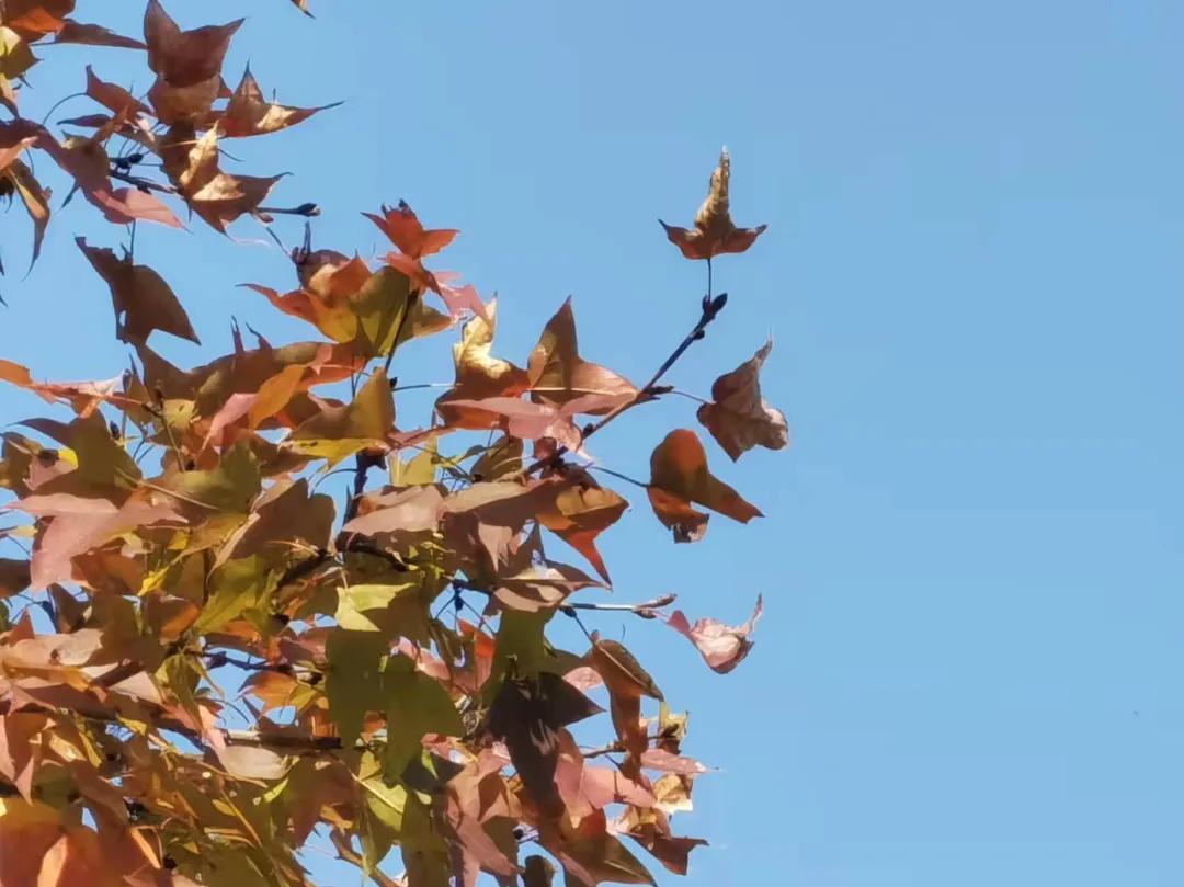 行走｜物华天宝宝华山