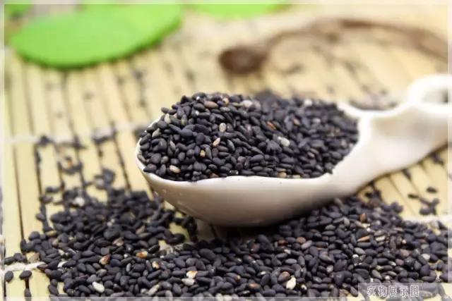 真假难辨的生活常识,真假生活小常识