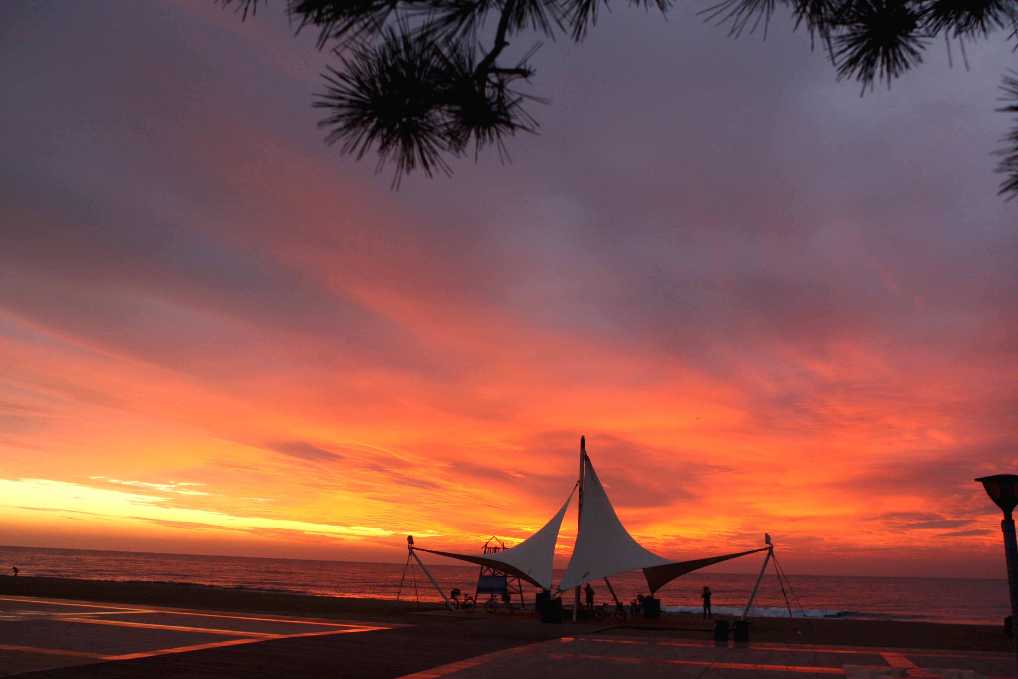火热民宿,火热的民宿