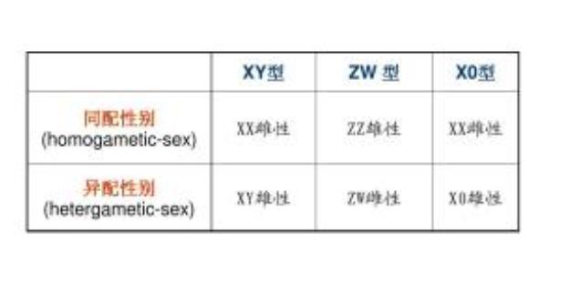 动物是怎样无性生殖的,动物无性生殖的几种方式