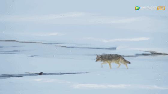 被吹爆的神片,被吹上天的神作