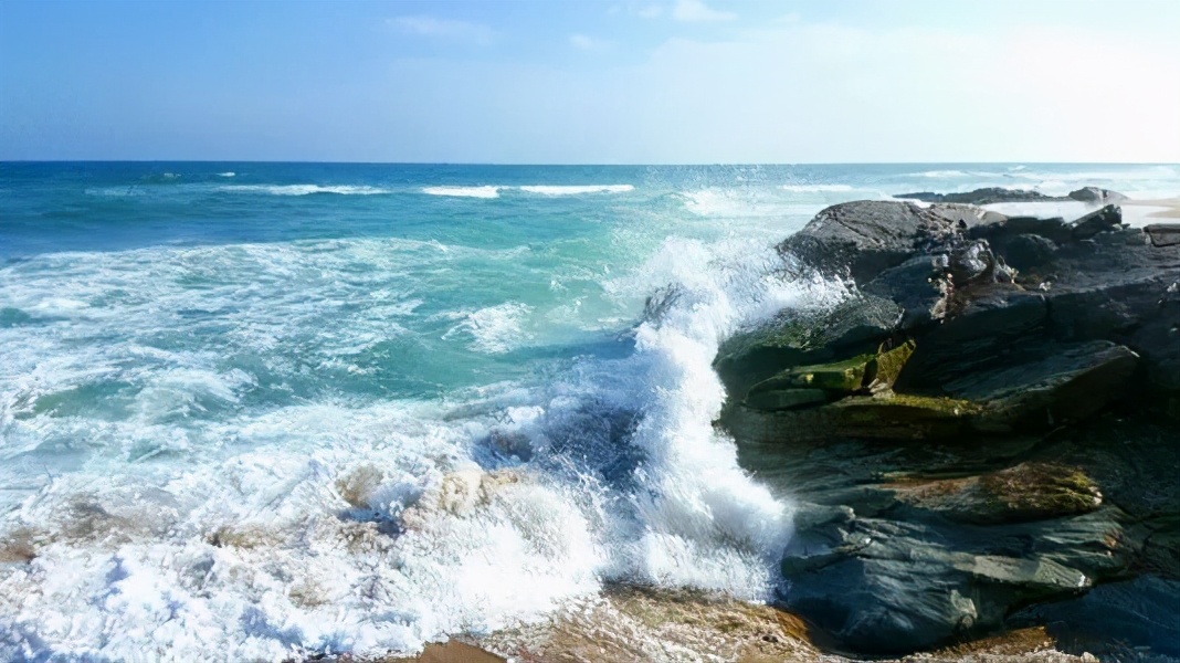 阳光正好来晒太阳,阳光正好看风景