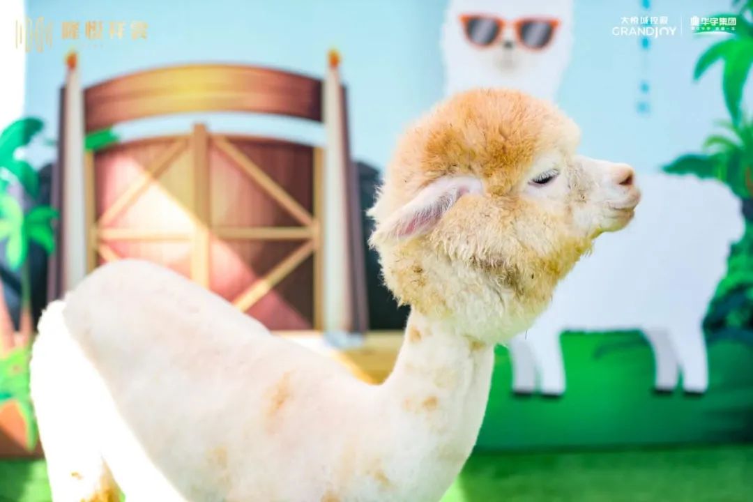 盛京集萃，非凡悦绽！大悦艺术生活馆璀璨绽放，悦动盛京南