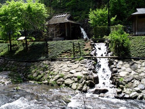 虫草山水画,四季花草山水画作品欣赏