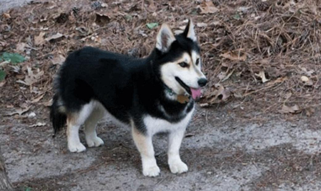 早期人类如何繁育,人类第一次繁育后代