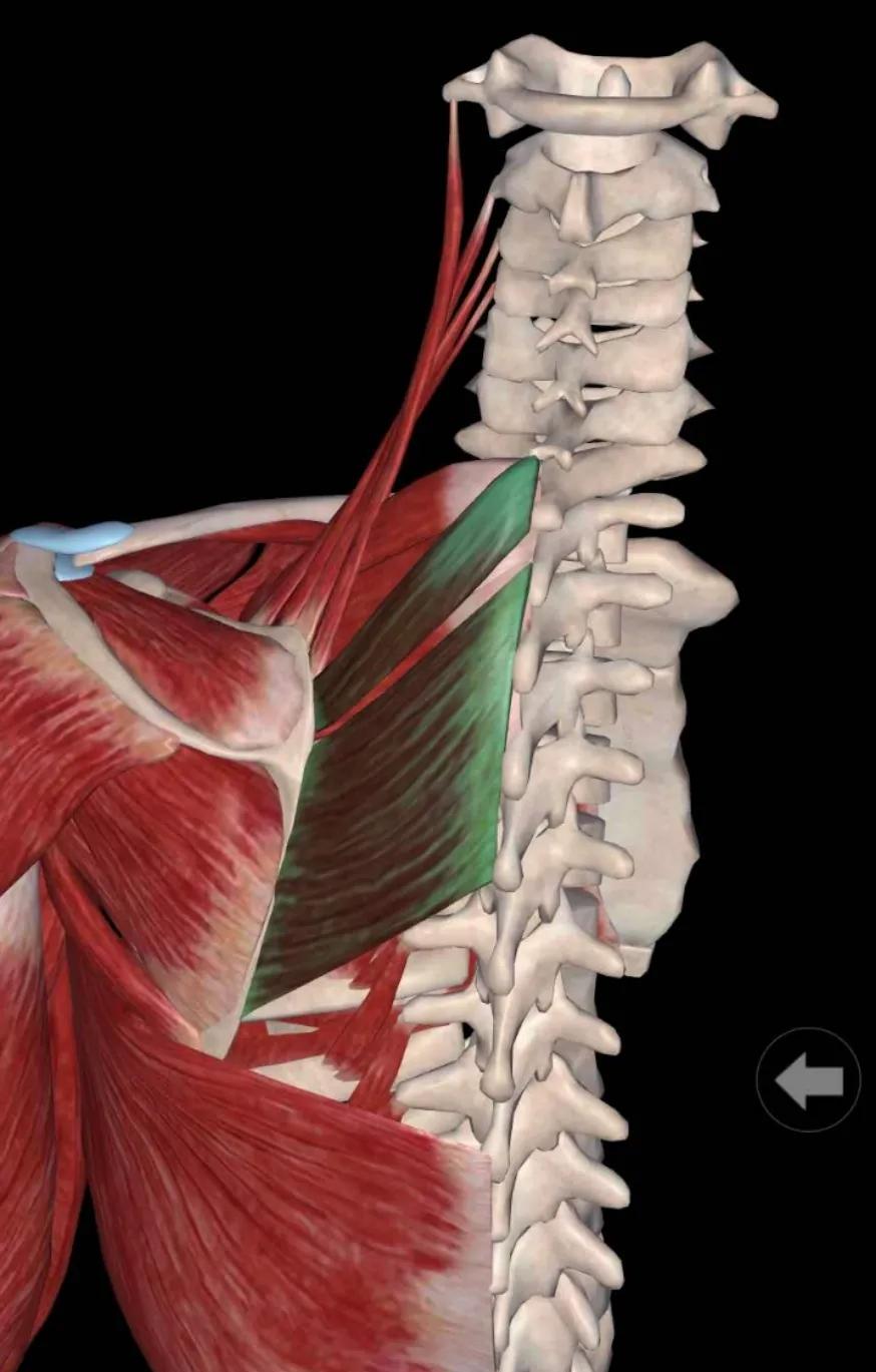 中医不是慢郎中第一集,中医不是慢郎中央视十套