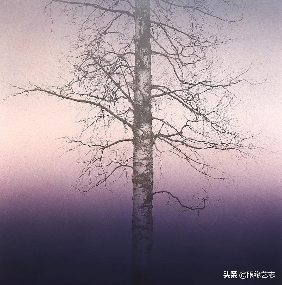 1440个小时的涅槃之画：黎明之树，佐藤裕一郎的心之风景