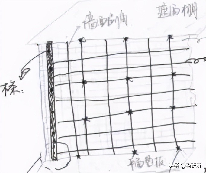 高层养猫到底要不要封窗,封窗养猫