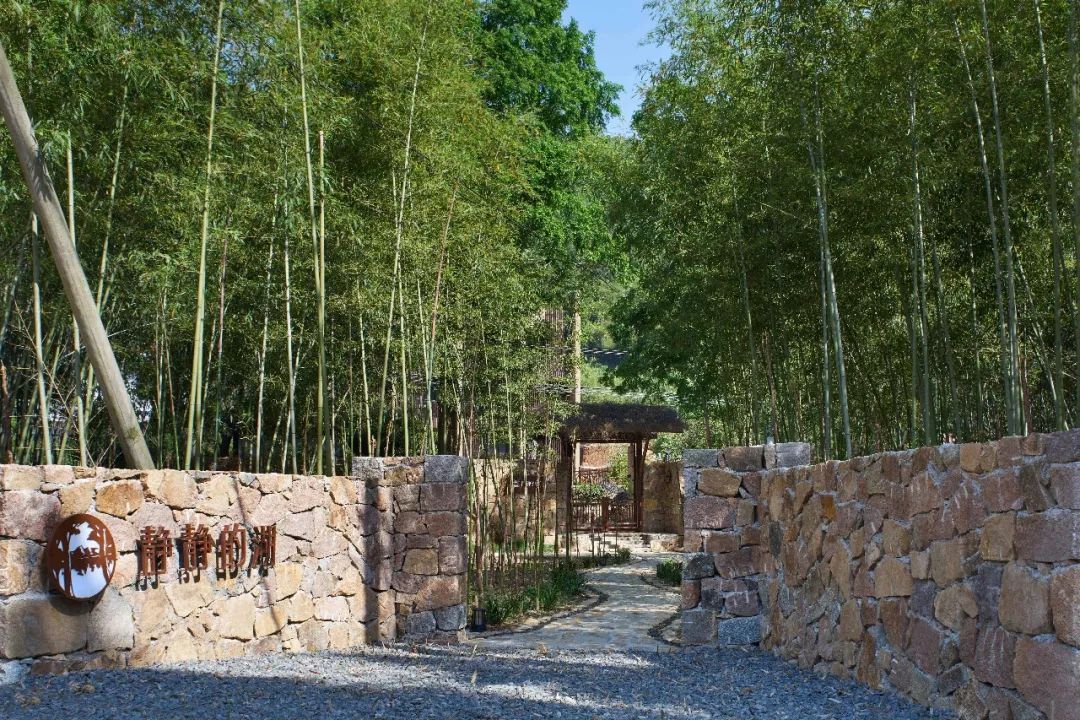 莫干山打卡圣地,莫干山王源