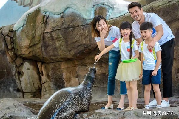 世警会准备什么,世警赛赛程2023