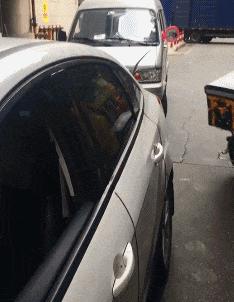 在野外发现甘蔗,在山里发现甘蔗