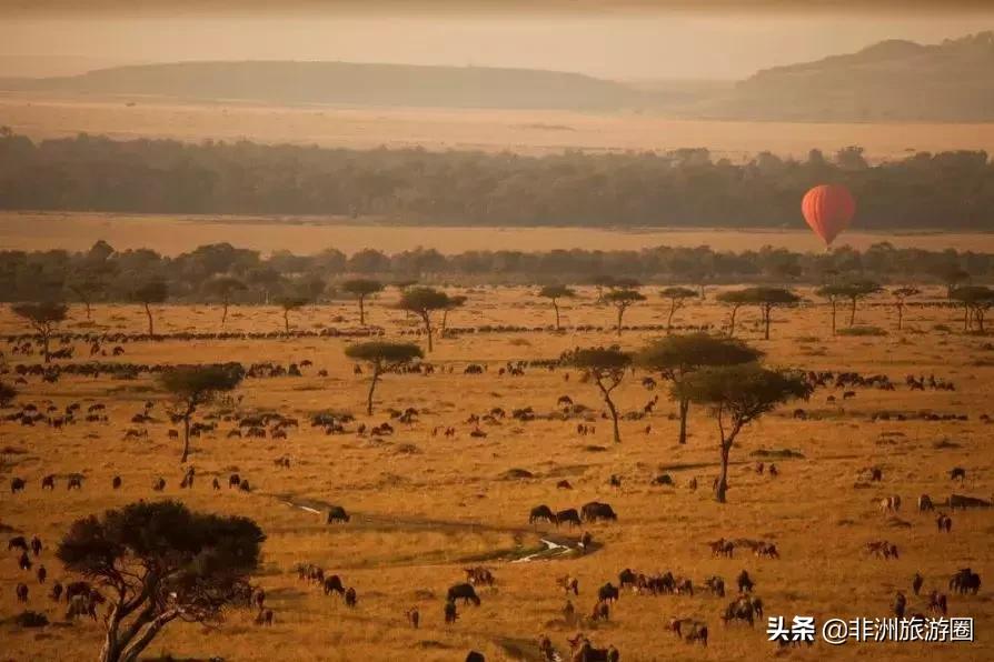 15个你不知道的颜色冷知识,10条你不知道的韩国冷知识