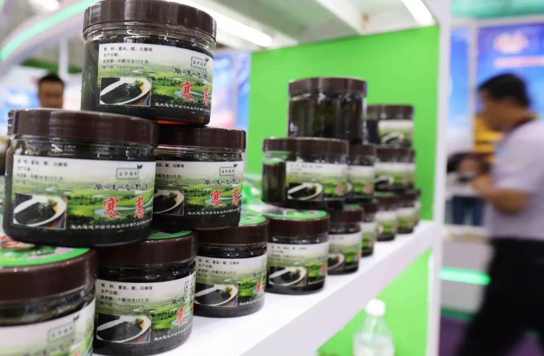 村里的懒汉成为富豪,村里出名的懒汉成富翁