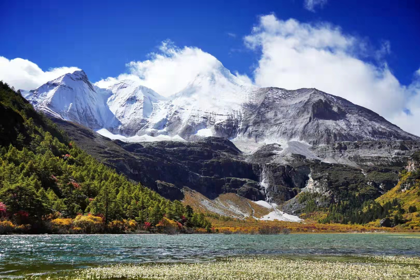 重阳节探望老人视频,重阳节探望职员家人
