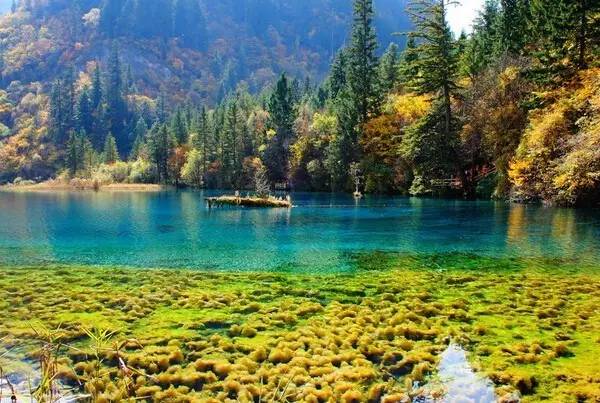 旅游达人总结全国的旅游陷阱,旅游坑人套路大揭秘