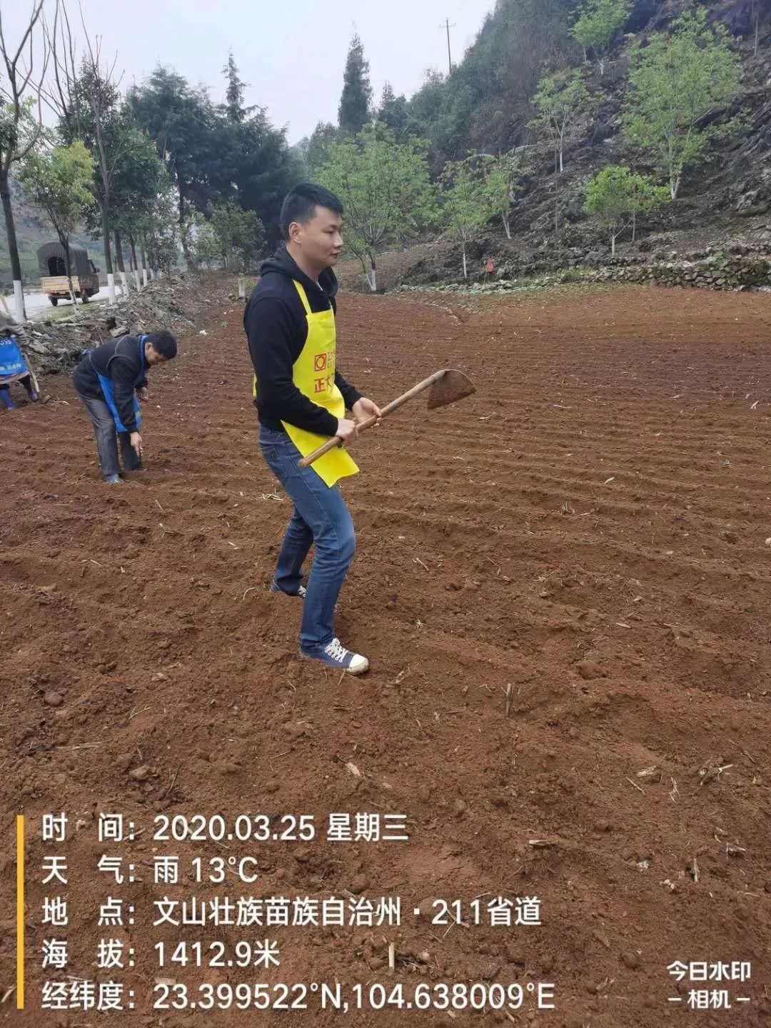 正大种业有哪几个,正大种业县级代理商