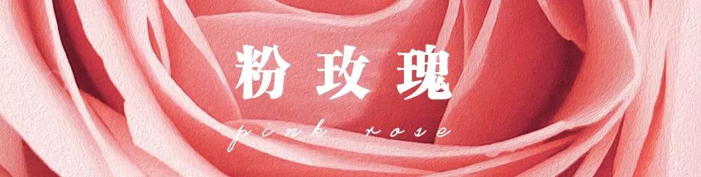 花店必备的5款玫瑰,花店常用的10款玫瑰花是哪些品种