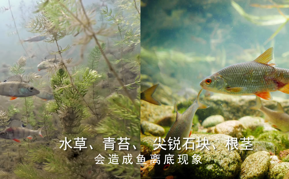 钓大鱼打截口技巧,野钓离底钓鱼怎么抓口最准确