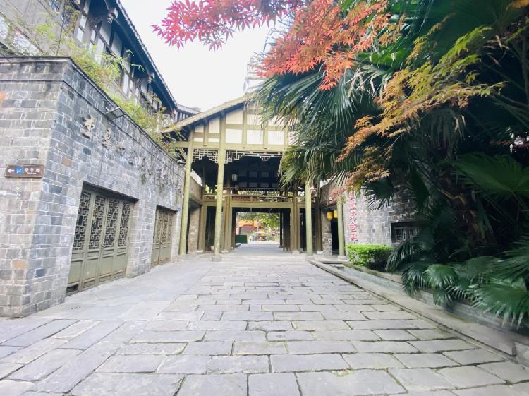 重庆的这些茶馆，能让时间慢下来