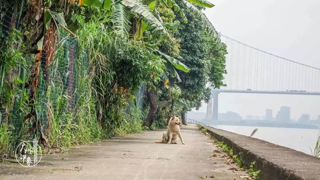 广州隐世峡谷游玩攻略,广州要坐船才能登的小岛