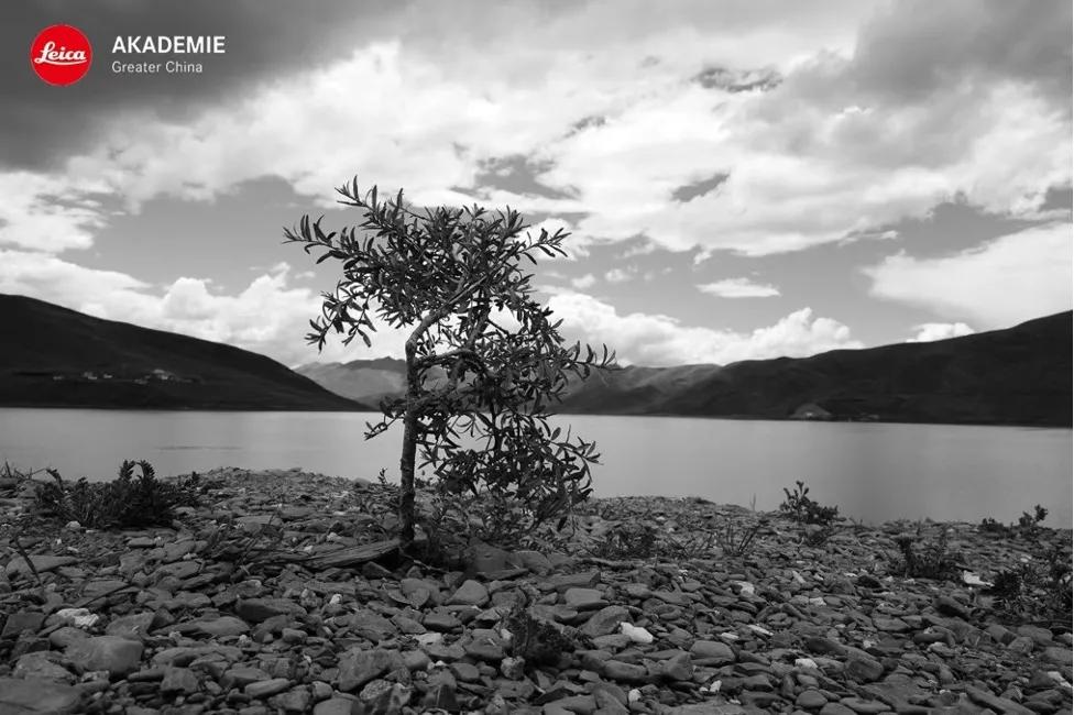 德国马牌轮胎的优点及缺点,德国马牌轮胎成就你的每一程