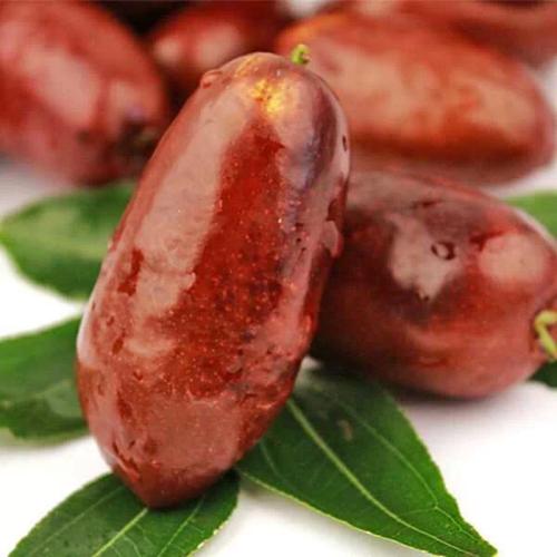 宁夏十大特产农产品,宁夏十大特产面