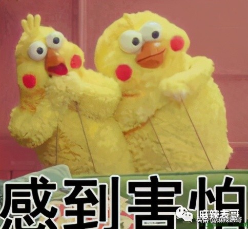 微博之夜谁拿奖谁尴尬,微博之夜为什么能请来这么多人