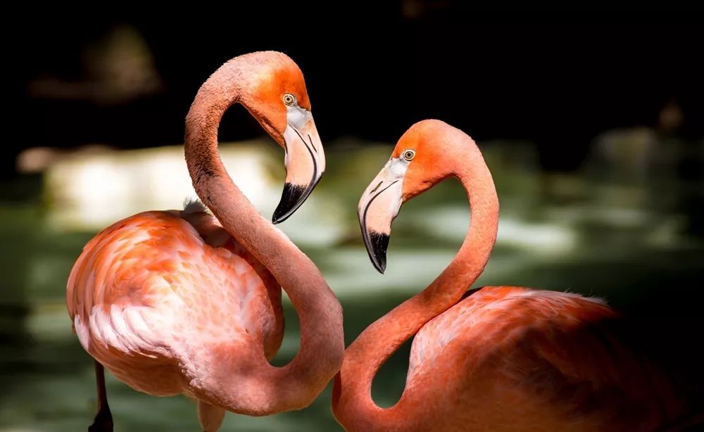 汇率起起伏伏，自然旅行跟着这张表格走，最划算