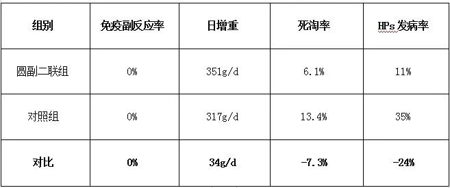 猪非瘟预防,圆环副猪怎么治疗