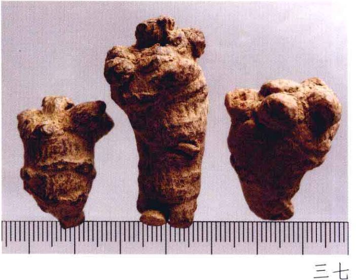 中药材真伪鉴别常用的方法有哪些,中药材真伪鉴别彩色图谱大全