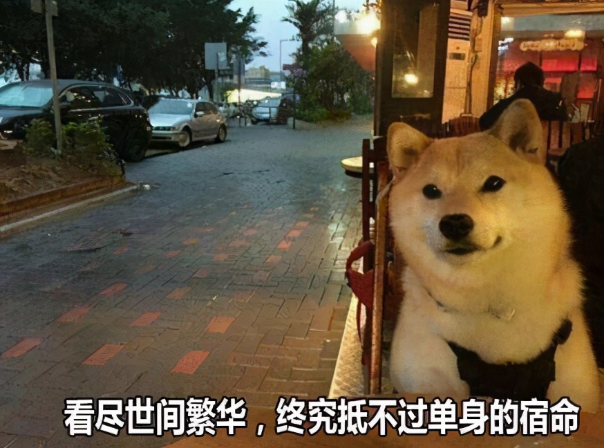 母婴双十一哪波力度大,双十一母婴店赔800万