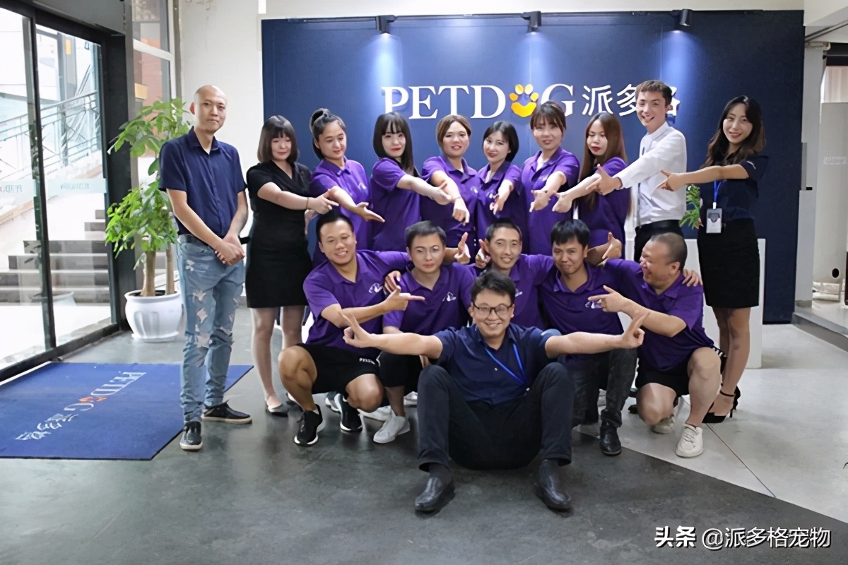 派多格宠物城,派多格宠物连锁广钢新城店