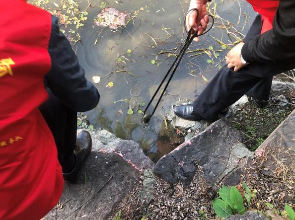 很多东西有寄生虫,这4种常见蔬果竟藏大量寄生虫