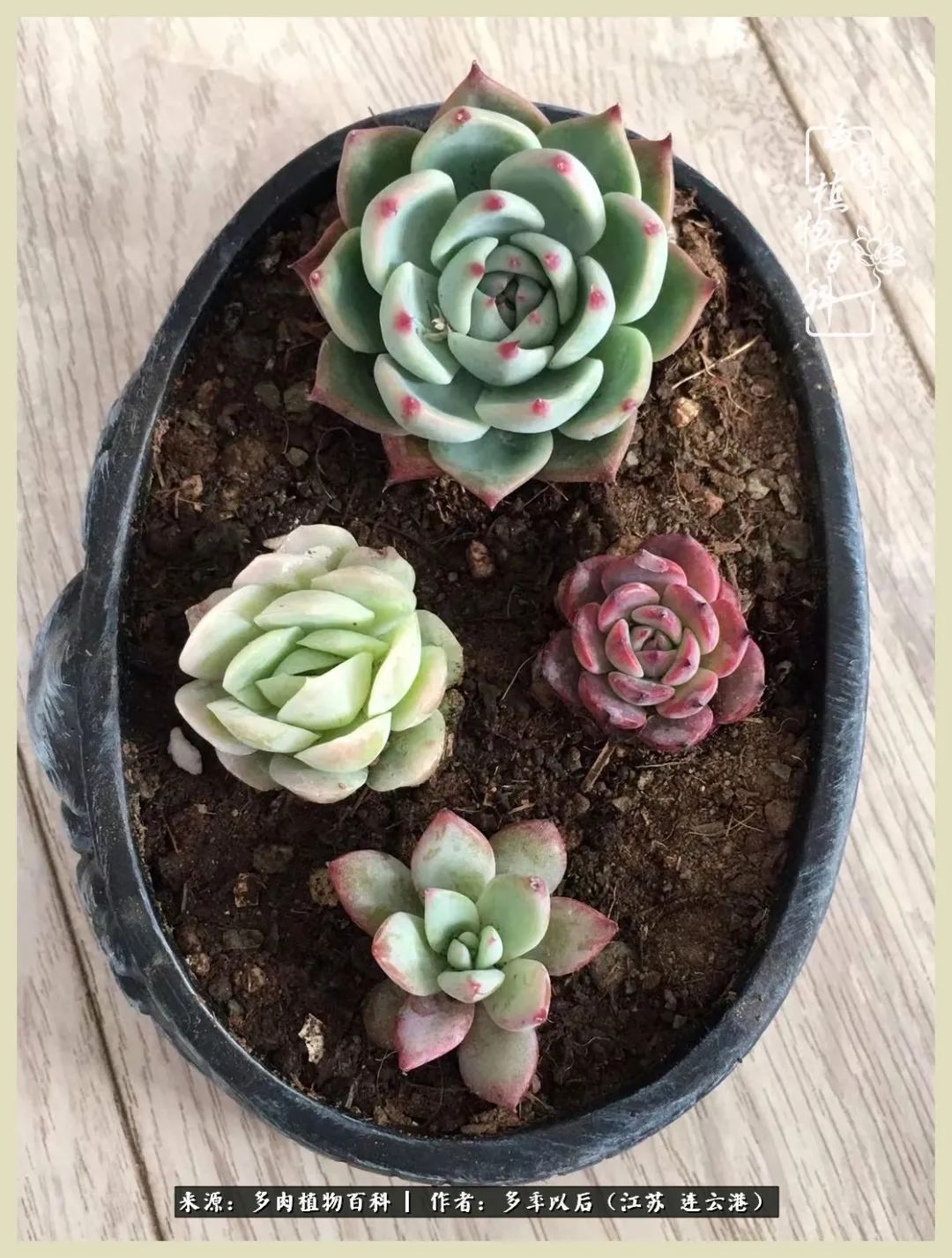 多去花前谈以后，少来月下忆当年