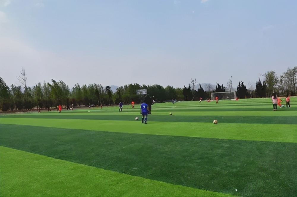 社会足球场运营,社会足球场地全面开放