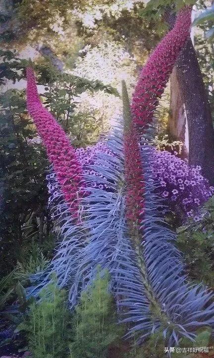 送给群友的美图,最新群相册大全