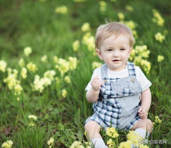 那些可爱的小孩子都叫什么,瞧瞧这些可爱到爆的宝宝小名