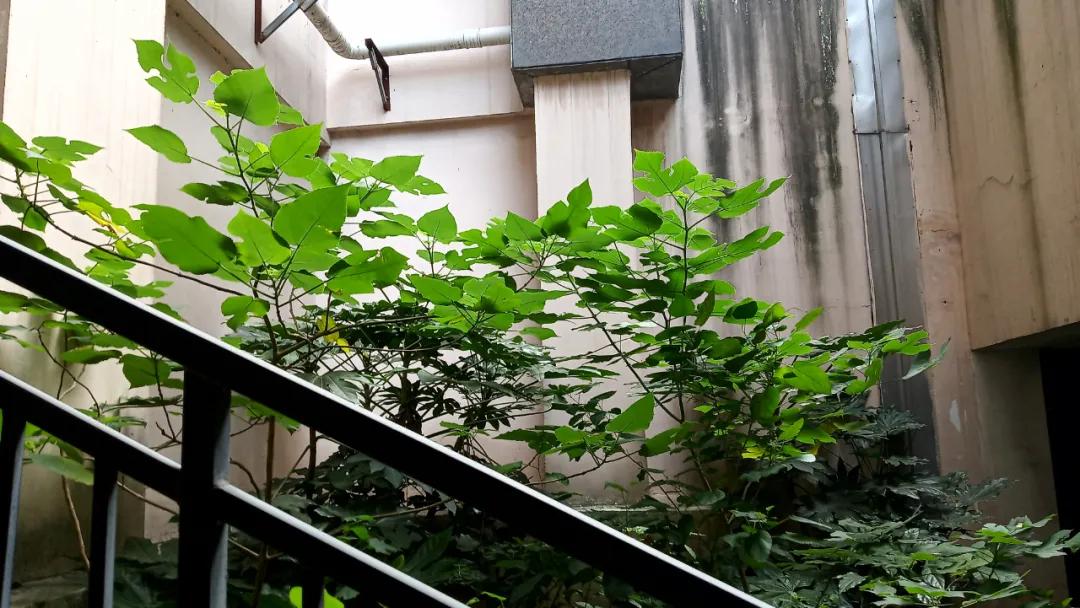 中房和万科物业哪个好,中房物业vs金佳物业