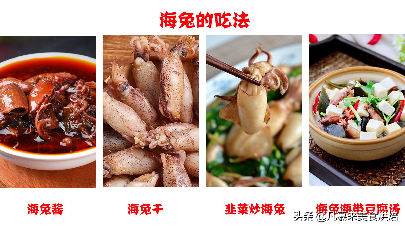 海兔墨鱼和八爪鱼哪个好吃,八爪鱼墨鱼鱿鱼海兔